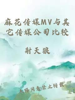 麻花传媒MV与其它传媒公司比较