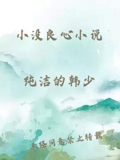 小没良心小说