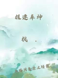 极速车神