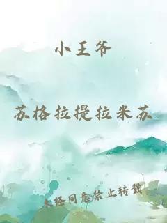 小王爷