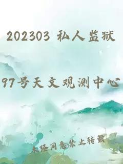 202303 私人监狱