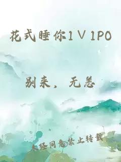 花式睡你1∨1PO