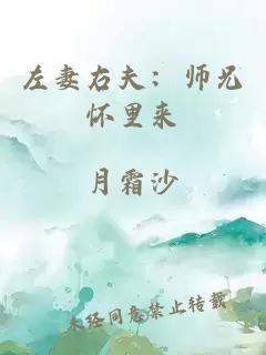 左妻右夫：师兄怀里来