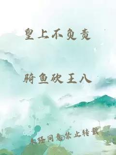 皇上不负责