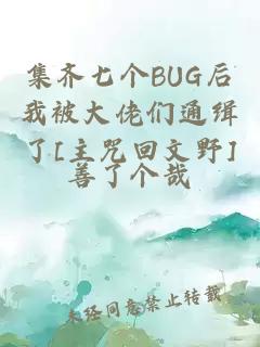 集齐七个BUG后我被大佬们通缉了[主咒回文野]