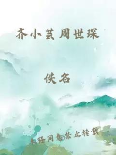 齐小芸周世琛