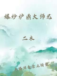 爆炒炉鼎大师兄