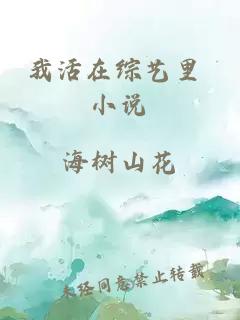 我活在综艺里 小说