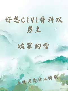 好想C1V1骨科双男主